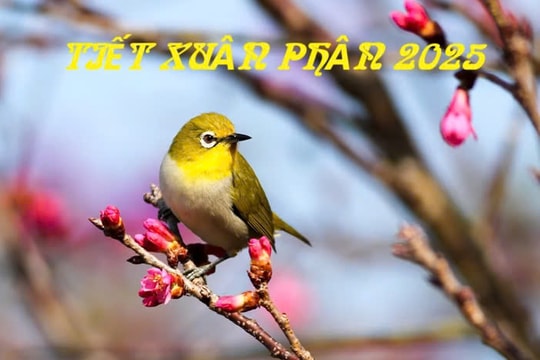 Làm ngay 3 điều này vào Tiết Xuân phân, vận may sẽ đến liên tục cả năm