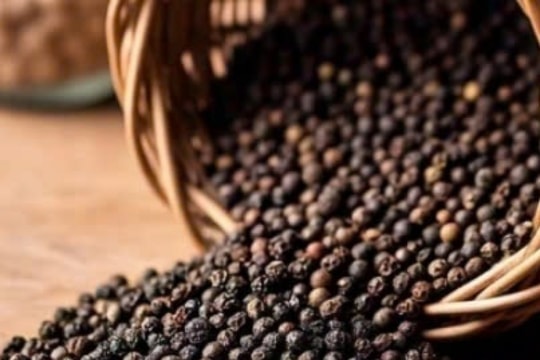 Giá tiêu hôm nay 21/3/2025: Đông Nam Bộ tăng nhẹ, thị trường xuất khẩu ổn định