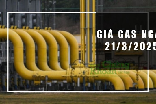 Giá gas hôm nay 21/3: Thế giới giảm gần 2,5%, thị trường trong nước sắp "rung lắc"?