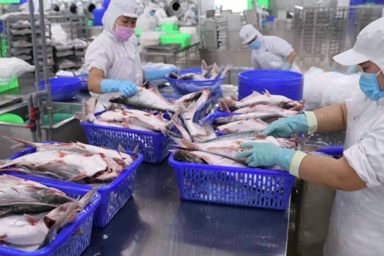 Vĩnh Hoàn tiếp tục sụt giảm doanh thu trong tháng 2/2025