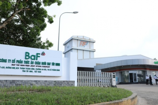 Biến động nhân sự thượng tầng tại BAF Việt Nam trước thềm đại hội