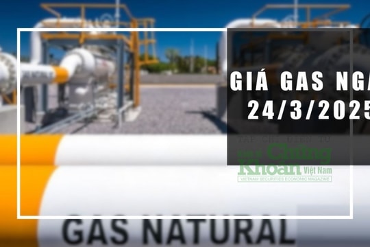Giá gas hôm nay 24/3/2025: Thế giới tăng nhanh, thị trường nội địa sắp có biến động?
