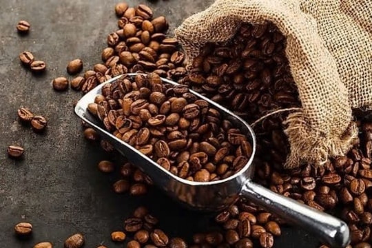 Giá cà phê hôm nay 25/3/2025: Tăng nhẹ tại Tây Nguyên, xuất khẩu đạt hơn 2,2 tỷ USD