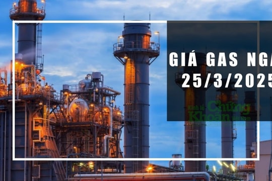 Giá gas hôm nay 25/3/2025: Thế giới tiếp tục hạ nhiệt, xu hướng tháng 4 ra sao?