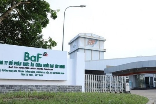 BaF Việt Nam phát hành cổ phiếu giá “mềm” nhưng vẫn ế hơn 11 triệu đơn vị