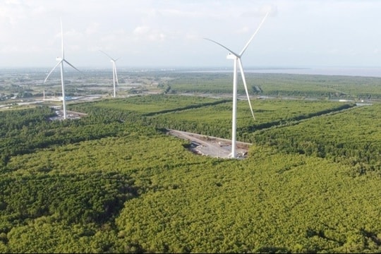 Chấm dứt hoạt động dự án điện gió hơn 3.200 tỷ đồng tại Hậu Giang