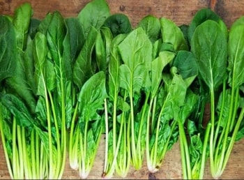 Loại rau được người Mỹ gọi là "siêu anh hùng dinh dưỡng", nông dân Việt lại trồng đầy ruộng: Giúp chống ung thư, bổ não, dễ trồng, lời triệu đồng mỗi