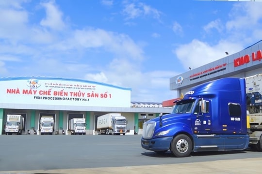 Đầu tư và Phát triển Đa quốc gia I.D.I (IDI) đề xuất giữ lại lợi nhuận, chưa chia cổ tức năm 2024