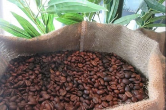 Giá cà phê hôm nay 27/3/2025: Vọt tăng lên mức kỷ lục, thị trường quốc tế đảo chiều giảm sâu