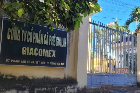 Liên tục bị kiểm toán đưa ý kiến ngoại trừ, Chè Biển Hồ giải thích do hỗ trợ bên liên quan