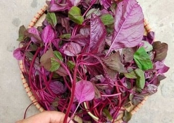 Chỉ 5 loại rau củ này, cơ thể như được “khởi động lại”: Khí huyết luân chuyển, trí não minh mẫn