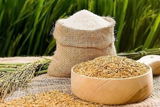 Giá lúa gạo hôm nay 28/3/2025: Đài thơm và OM tăng giá, gạo Việt vẫn bám sát Thái Lan