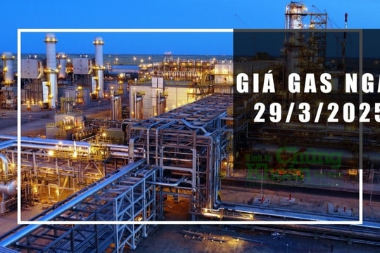 Giá gas hôm nay 29/3/2025: Thế giới bất ngờ tăng vọt, trong nước sẽ ra sao?