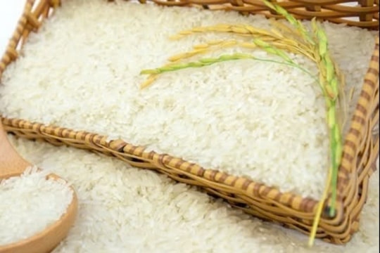 Giá lúa gạo hôm nay 30/3/2025: Thị trường ổn định, xuất khẩu giữ giá, giao dịch nội địa chậm