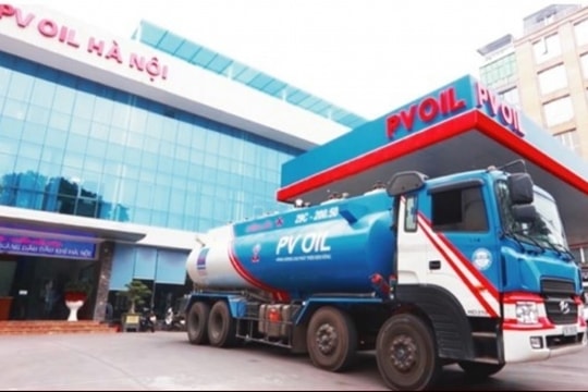 Timexco (TMC) giữ nguyên cổ tức, co hẹp lợi nhuận trong kế hoạch năm 2025