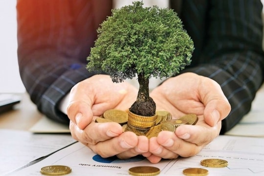 Lịch chốt quyền cổ tức tuần từ 31/3-4/4: HSG, KHS, NAV rót tiền mặt về tay cổ đông