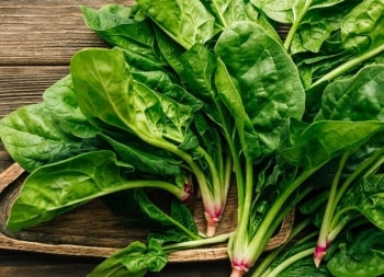 Thứ rau bị hiểu lầm suốt nhiều năm, giờ trở thành "liều thanh lọc" giới chuyên gia khuyên dùng: Giúp trao đổi chất, tăng cường miễn dịch nhanh chóng