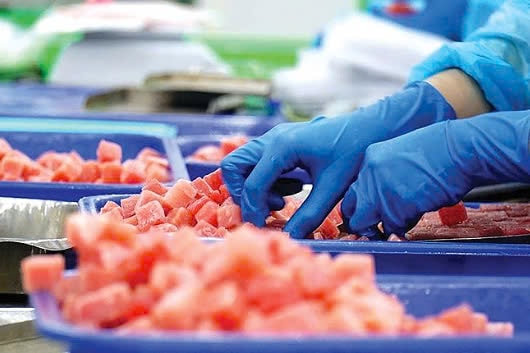 Xuất khẩu cá ngừ chạm đỉnh, Việt Nam vươn top 5 thế giới