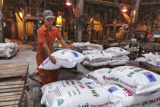 Đạm Phú Mỹ giảm lãi sau kiểm toán, lương nhân sự vượt loạt ngân hàng