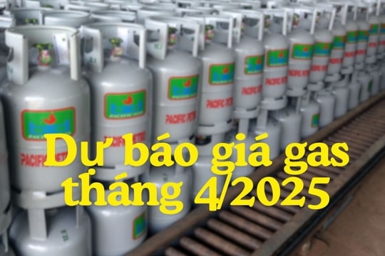 Dự báo giá gas tháng 4/2025: Giá trong nước tiếp tục "hạ nhiệt"?