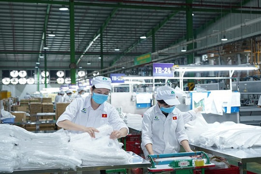 Nhựa An Phát Xanh (AAA) giải trình về biến động lợi nhuận tới 80%