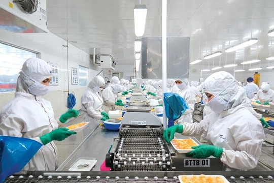 Sau năm bội thu, Sao Ta (FMC) lại bất ngờ tỏ ra thận trọng