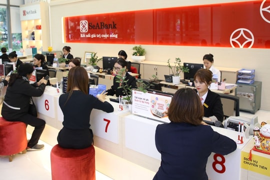 SeABank muốn mua Chứng khoán ASEAN, phát hành ESOP và tăng vốn trong năm 2025