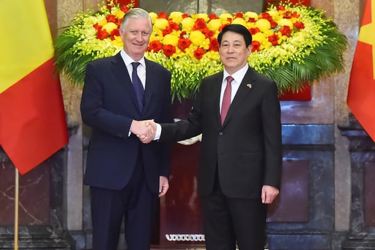 Chủ tịch nước Lương Cường và Nhà vua Bỉ Philippe hội kiến