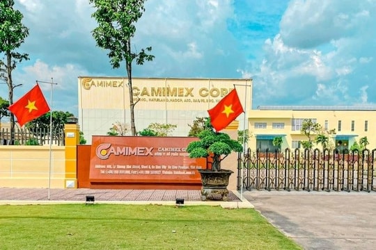 Ông lớn ngành thủy sản tại Cà Mau giải trình nguyên nhân lợi nhuận sụt giảm mạnh