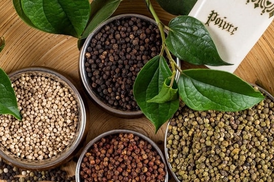 Dự báo giá tiêu ngày 3/4/2025: Giảm nữa hay tạo đáy giữa mùa khan hàng?