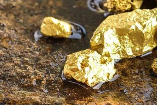 Phát hiện 40 mỏ vàng ở Tây Bắc với trữ lượng gần 30 tấn: Giá vàng trong nước sắp "hạ nhiệt"?