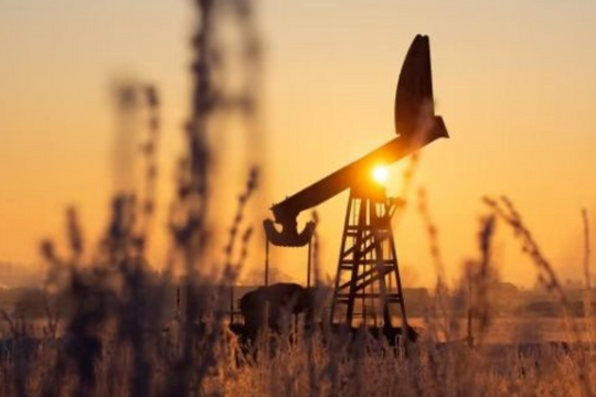 Lo ngại thuế mới từ Mỹ, một quốc gia châu Á âm thầm gom hàng loạt đơn dầu thô