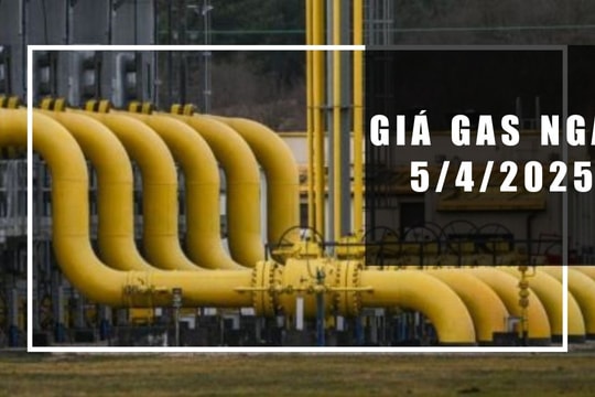 Giá gas hôm nay 5/4/2025: Thế giới giảm sốc, trong nước giữ giá