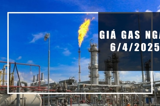 Giá gas hôm nay 6/4/2025: Thế giới lao dốc mạnh, trong nước vẫn "án binh bất động"