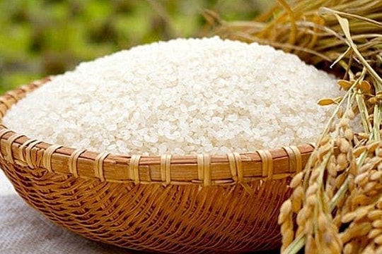 Giá lúa gạo hôm nay 7/4: Thị trường trong nước bình ổn, xuất khẩu duy trì mức cao