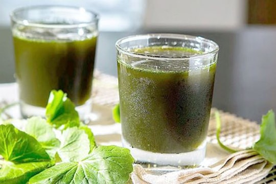 Người Việt hay ăn loại rau được ví như nhân sâm mà không hay biết: Giúp phục hồi tóc, cải thiện trí nhớ và bảo vệ gan