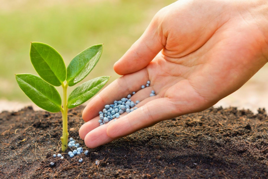 Một mặt hàng Việt Nam xuất khẩu tăng 676%: Lào, Campuchia đua đặt hàng