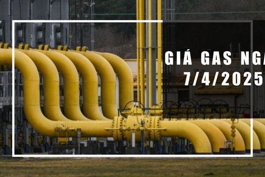 Giá gas hôm nay 7/4/2025: Biến động trái chiều