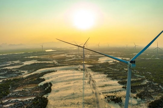 Tỉnh hẹp nhất nước đầu tư khu sinh thái 210 tỷ đồng trên cát