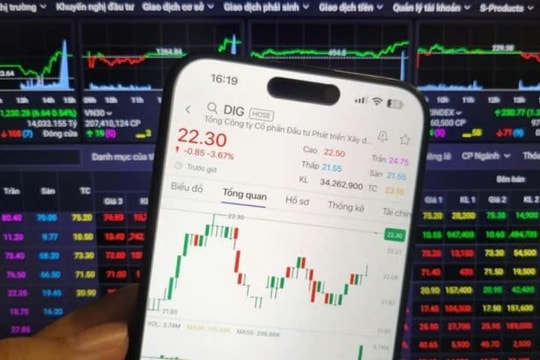 Trước thềm DIC Corp đại hội cổ đông, cổ phiếu DIG "có biến"