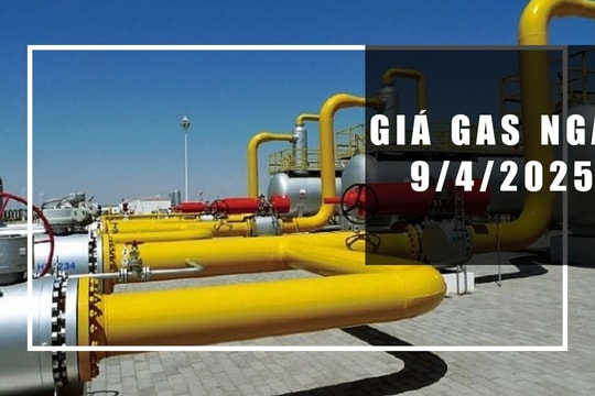 Giá gas hôm nay 9/4/2025: Thế giới tăng, trong nước vẫn "án binh bất động"