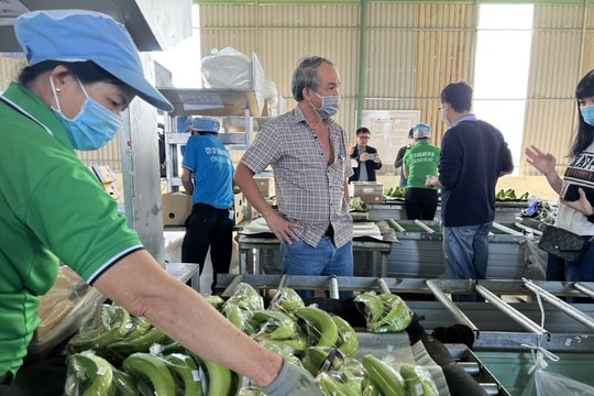 Bầu Đức lên tiếng trấn an cổ đông, con gái cũng gom thêm cổ phiếu HAG