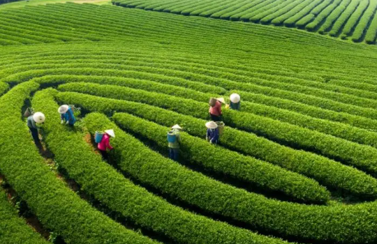 Bí kíp du lịch 30/4 – 1/5: Ngân sách 2 triệu đồng đi đâu để tận hưởng kỳ nghỉ trọn vẹn?