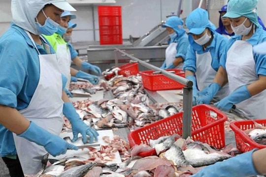 Cổ phiếu ANV liên tiếp nằm sàn, lãnh đạo lập tức hành động