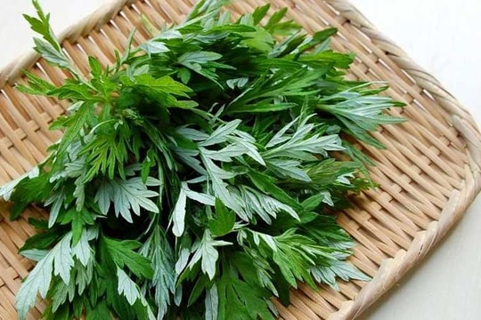 Thứ rau được ví như thuốc bổ, nhưng tuyệt đối đừng đụng đến nếu bạn nằm trong danh sách này