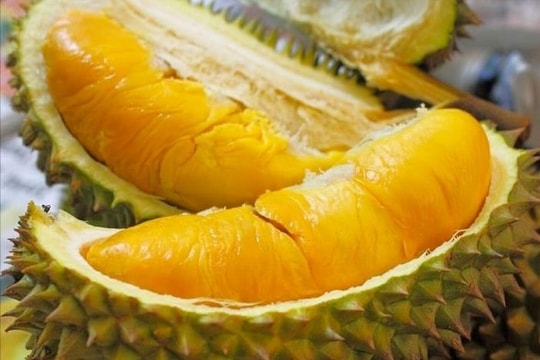 Giá sầu riêng hôm nay 10/4: Sầu Thái đẹp giữ giá gần 180.000 đồng/kg