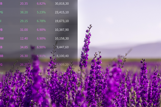 Gió đổi chiều: Thị trường tiết cung, cổ phiếu tăng trần hàng loạt