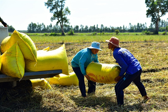 Giữa lúc thị trường đang vui, cổ phiếu này lại sắp phải rời sàn HOSE