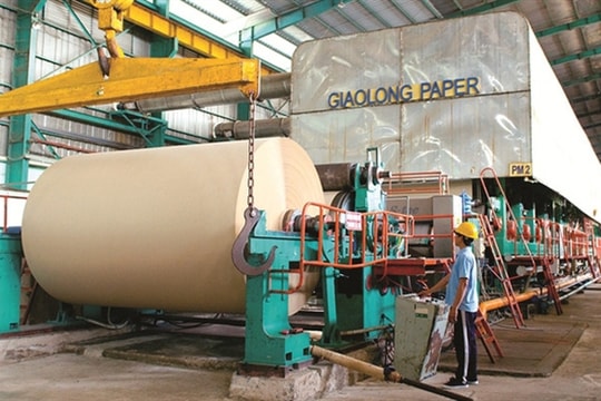 Đông Hải Bến Tre (DHC) chi mạnh cho dự án Giao Long 3, không e ngại dư cung ngành giấy