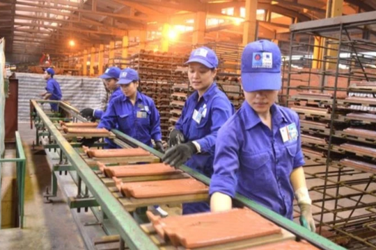 Viglacera Đông Triều (DTC) tiên phong báo lỗ, cổ phiếu cũng vừa phải về UPCoM